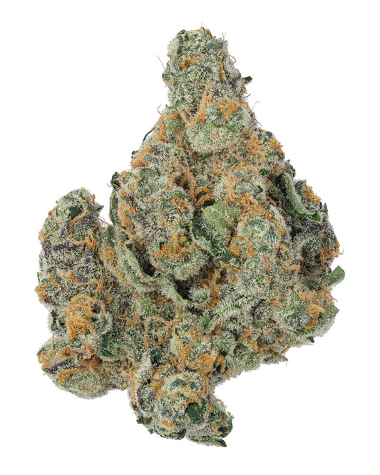Cheetah Piss - Exotic Thca Flower