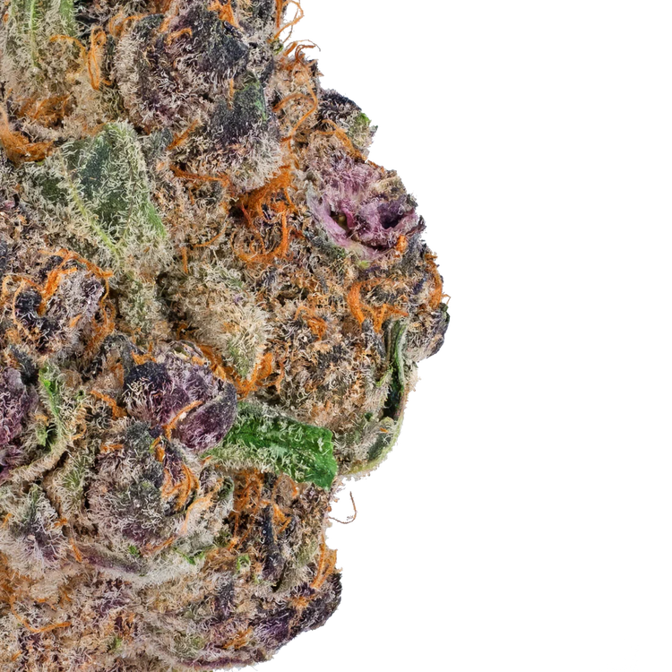 Blue Cherry Gelato - Thca Flower